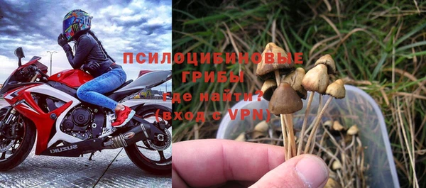 МДПВ Белокуриха