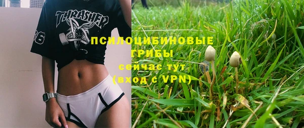 МДПВ Белокуриха