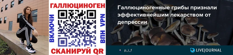 Галлюциногенные грибы Psilocybine cubensis  где продают наркотики  Югорск 